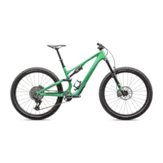 2025 Specialized Stumpjumper 15 Expert