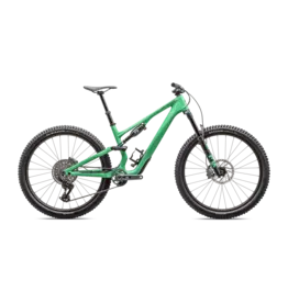 2025 Specialized Stumpjumper 15 Expert