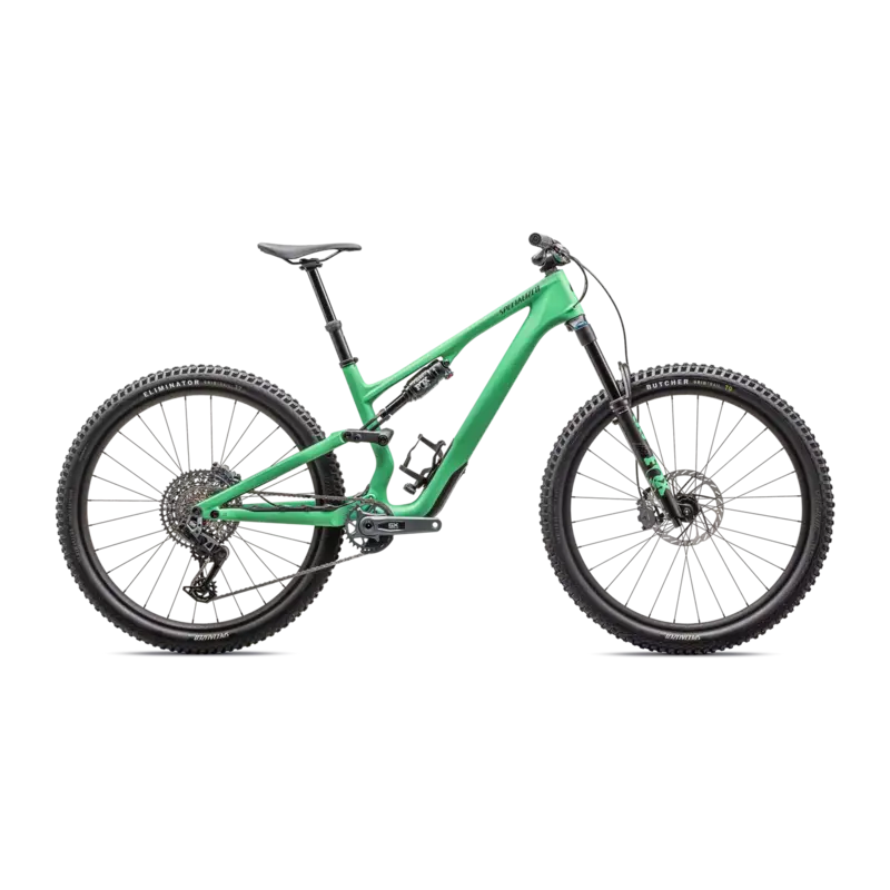 2025 Specialized Stumpjumper 15 Expert