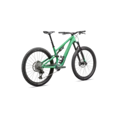 2025 Specialized Stumpjumper 15 Expert