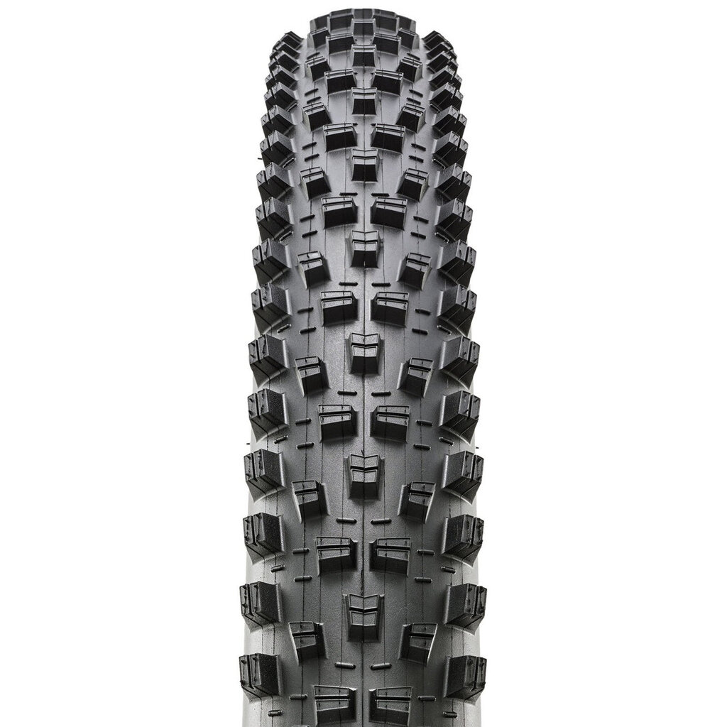 MAXXIS MAXXIS FOREKASTER 29x2.4 WT 3C TERRA EXO TR FOLD