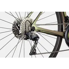 Cannondale Cannondale Synapse Carbon 2 RL BGN