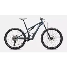 2025 Specialized Stumpjumper EVO 15 Alloy