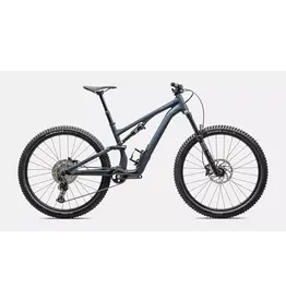 2025 Specialized Stumpjumper EVO 15 Alloy