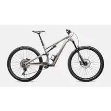 2025 Specialized Stumpjumper EVO 15 Alloy