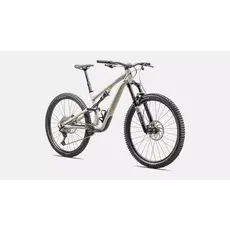 2025 Specialized Stumpjumper EVO 15 Alloy