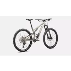 2025 Specialized Stumpjumper EVO 15 Alloy