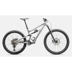 2025 Specialized Status 140 Satin Aluminum / Obsidian S2