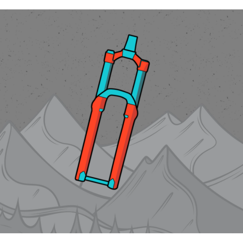 RIDE WRAP RIDEWRAP TAILORED - ROCKSHOX ZEB 29 2023-ON FORK KIT MATTE