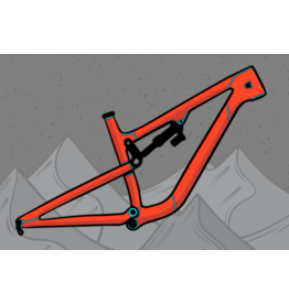 RIDE WRAP STUMPJUMPER 2021 29-A S3 // RIDEWRAP TAILORED PROTECTION™ FRAME KIT GLOSS