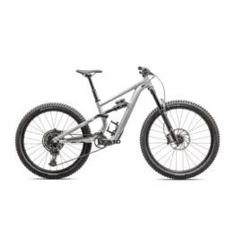 2025 Specialized Status 140 Satin Aluminum / Obsidian S2