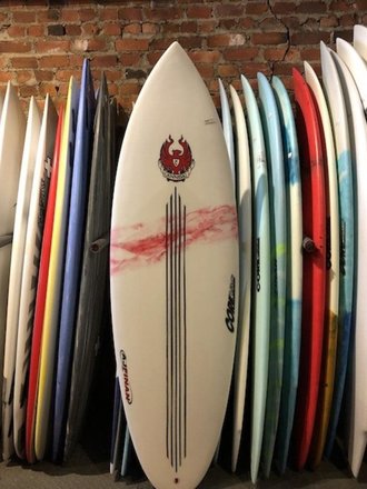 CANNIBAL CANNIBAL 5’8 PIN FISH CARBON