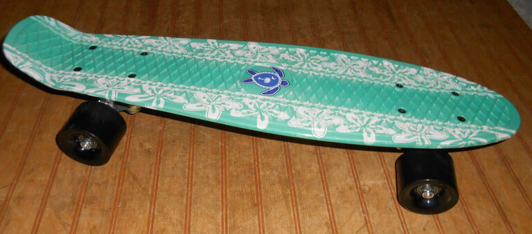 SUN AND FUN WAVELINE PRINTED SKATEBOARD