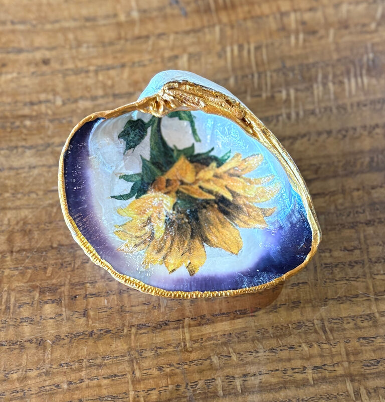 PAINTED SEASHELLS