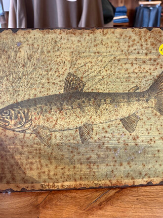 UNSOUND SURF COMMON TROUT METAL ENGRAVING