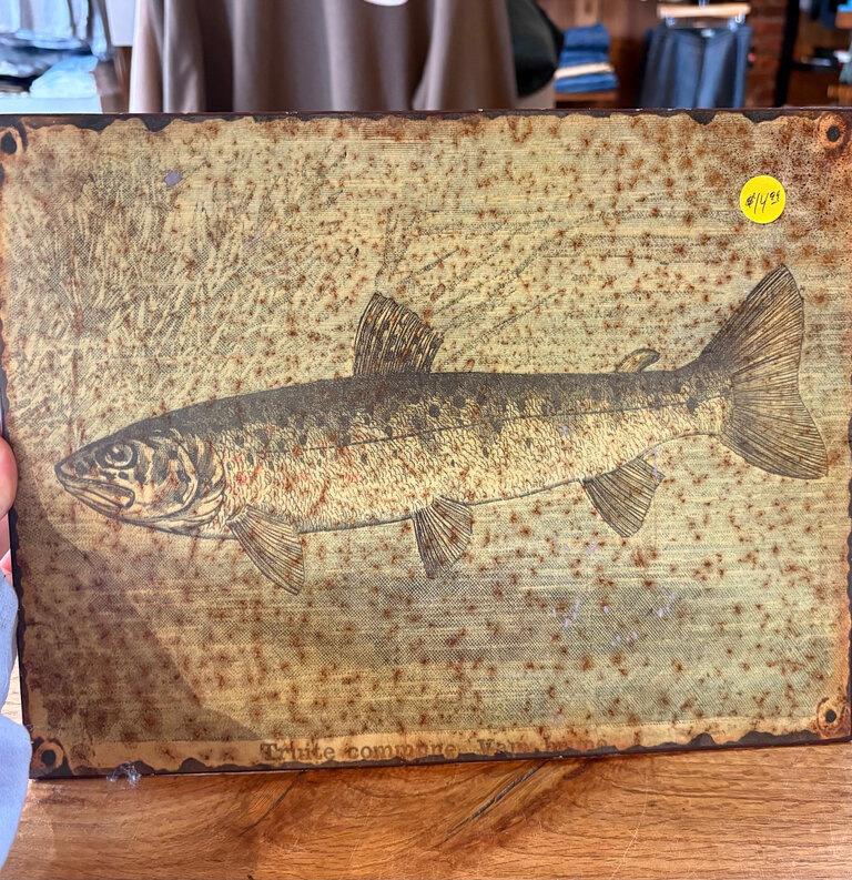 UNSOUND SURF COMMON TROUT METAL ENGRAVING