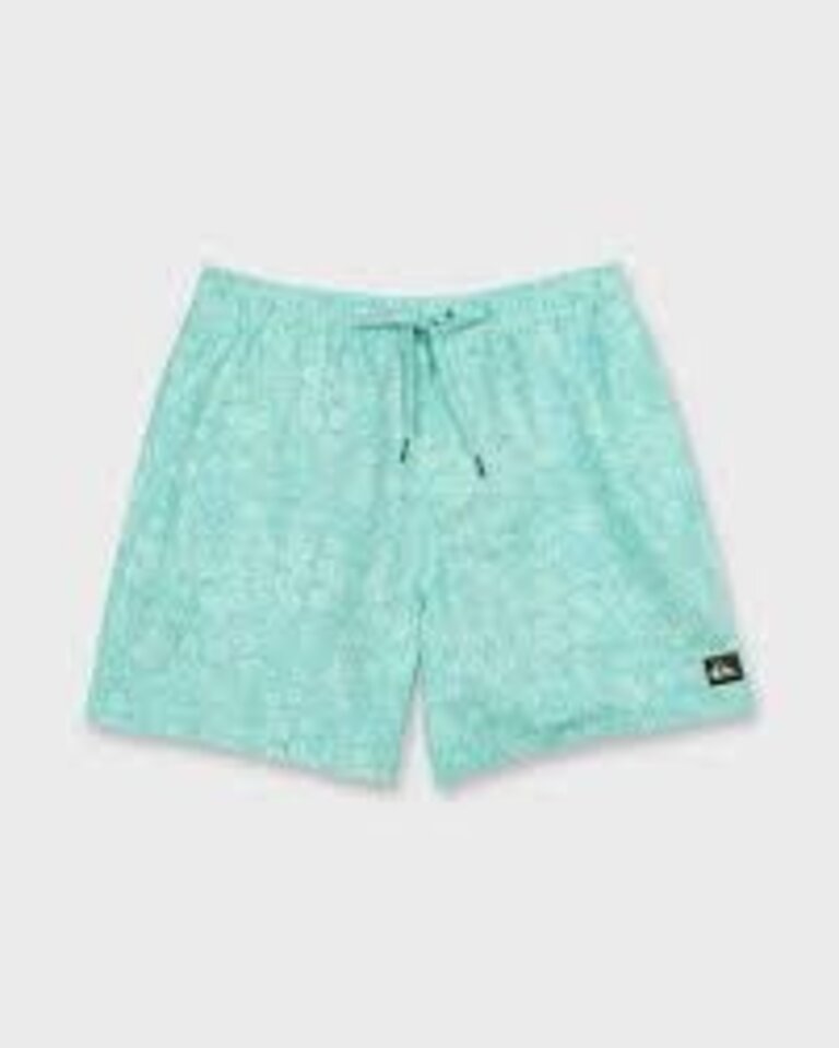 QUIKSILVER ASSORTED QUIKSILVER SWIM VOLLEY