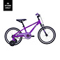 AVANTI SPICE 16"