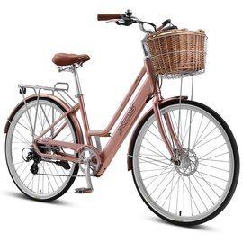 XDS E-CONIC S2 HUB-DRIVE E-BIKE RETRO