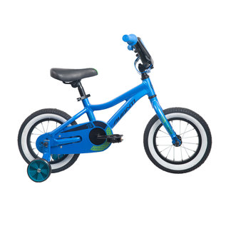 AVANTI MXR 12 Port City Cycles