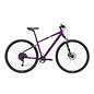 AVANTI X-PLORER MS 2 Women's Purple