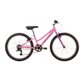 MALVERN STAR ROXY 24