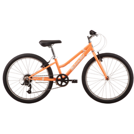 MALVERN STAR ROXY 24