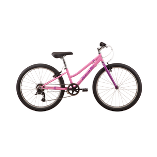 MALVERN STAR ROXY 24