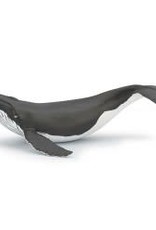 Papo Papo Humpback Whale Calf