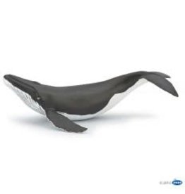 Papo Papo Humpback Whale Calf