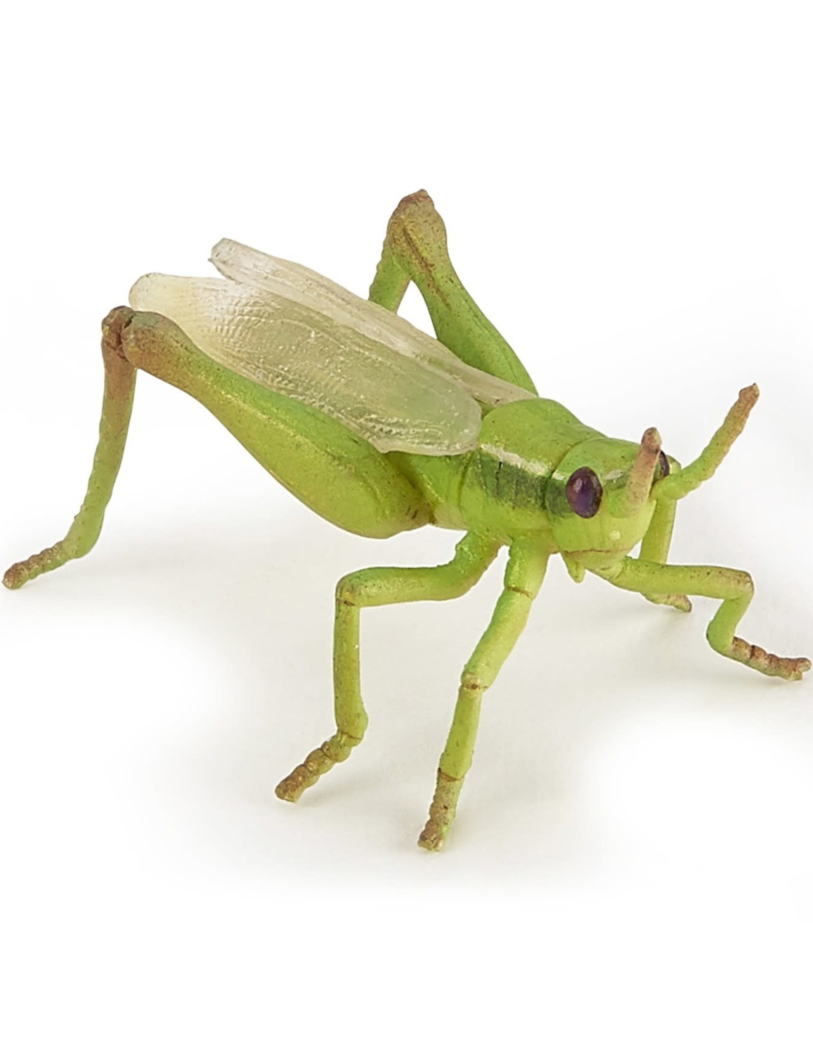 Papo Papo Grasshopper