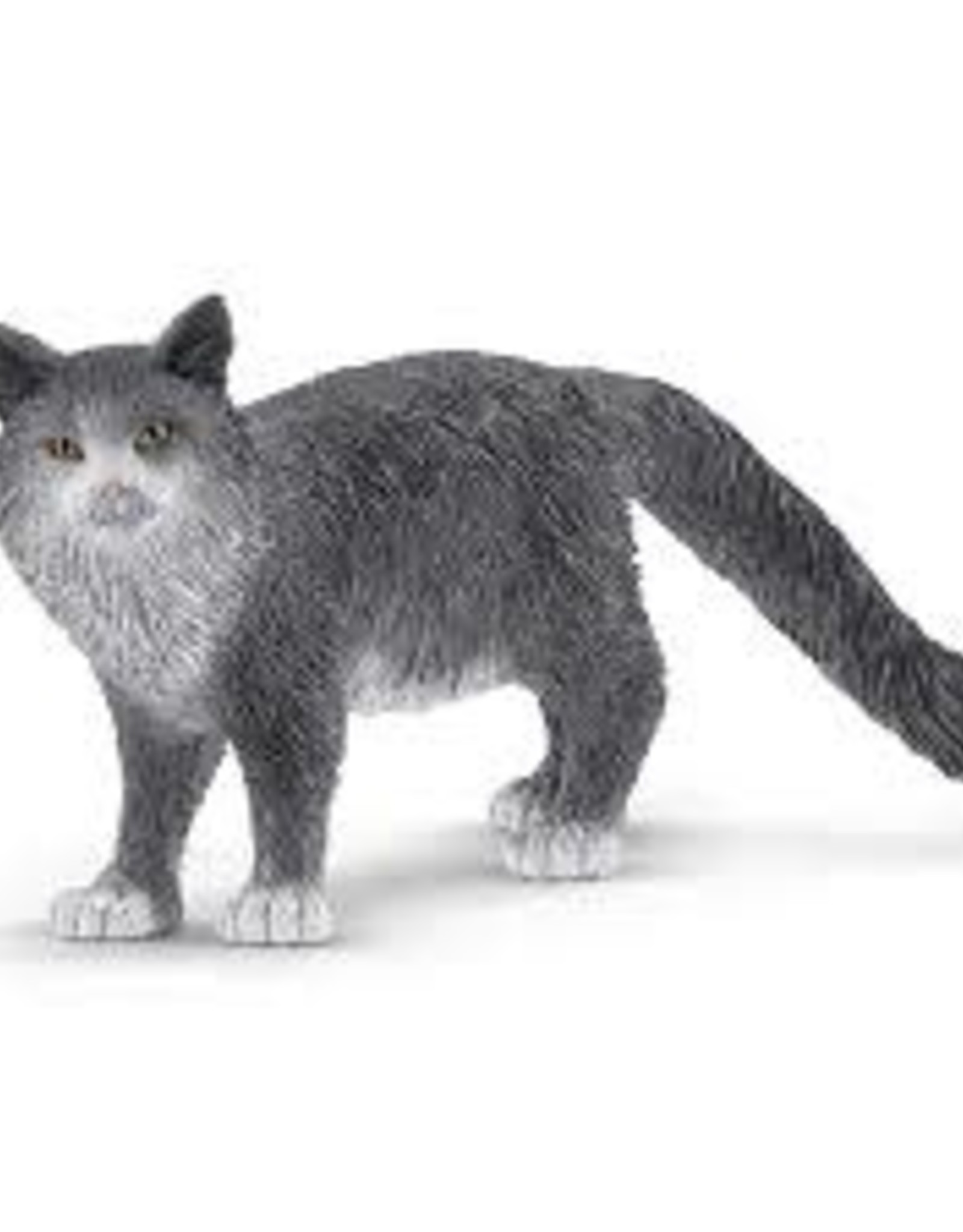 Schleich Maine Coon Cat 13893