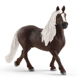 Schleich Black Forest Stallion 13897