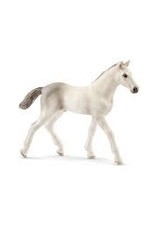 Schleich Holsteiner Foal 13860