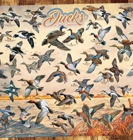 Cobble Hill Ducks of North America 1000pc CH80263