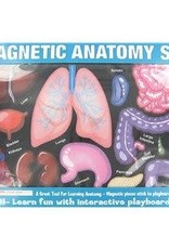 Magnetic Anatomy Set