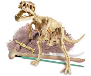 4m Dig A Tyrannosaurus