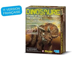 4m Dig A Triceratops