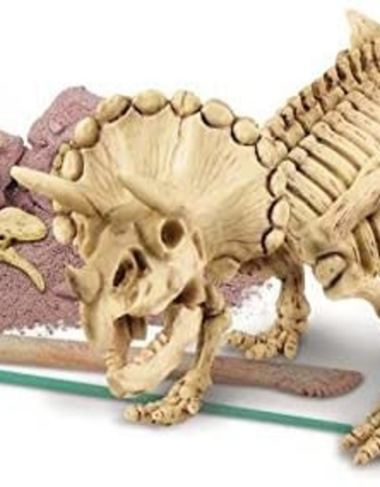 4M Dig a Triceratops