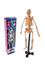Edu-Toys Human Skeleton