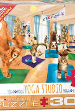 Eurographics Yoga Studio 300pc (Modular box)