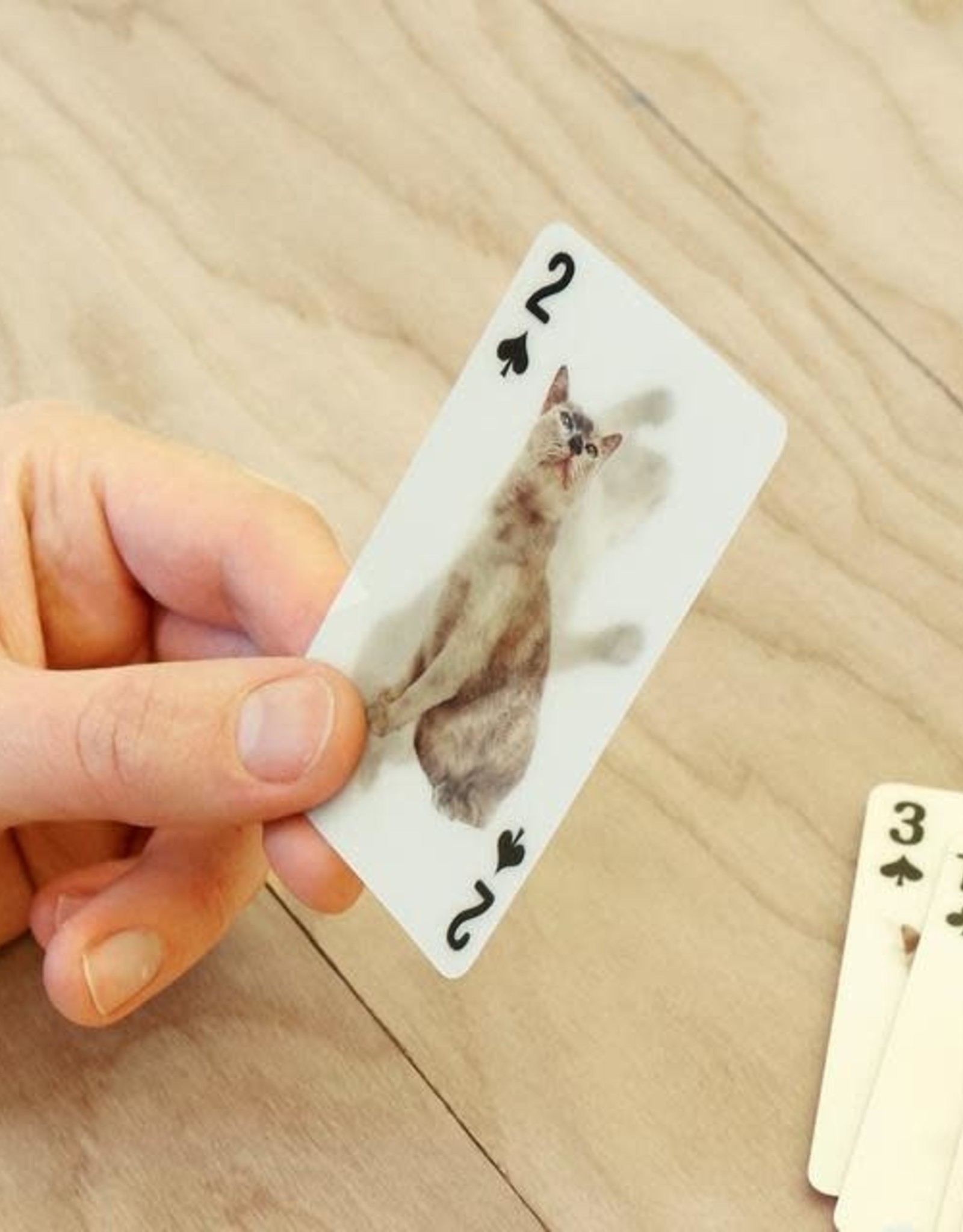 Kikkerland CATS 3D PLAYING CARDS