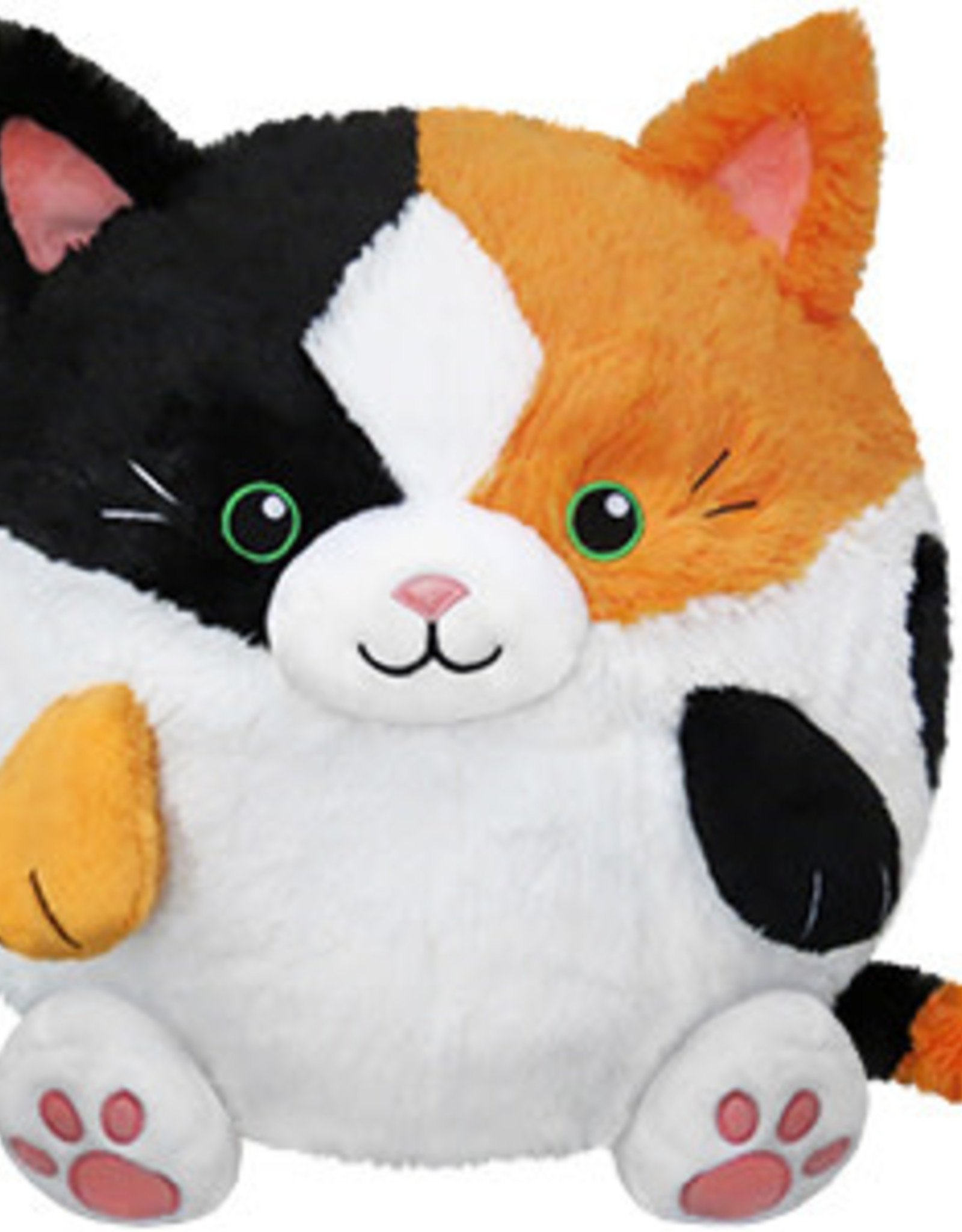 squishables cat