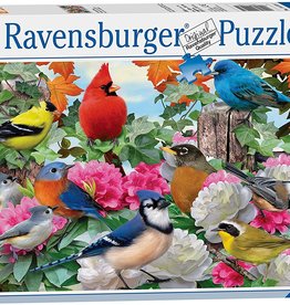 Ravensburger Garden Birds 500pc RAV14223
