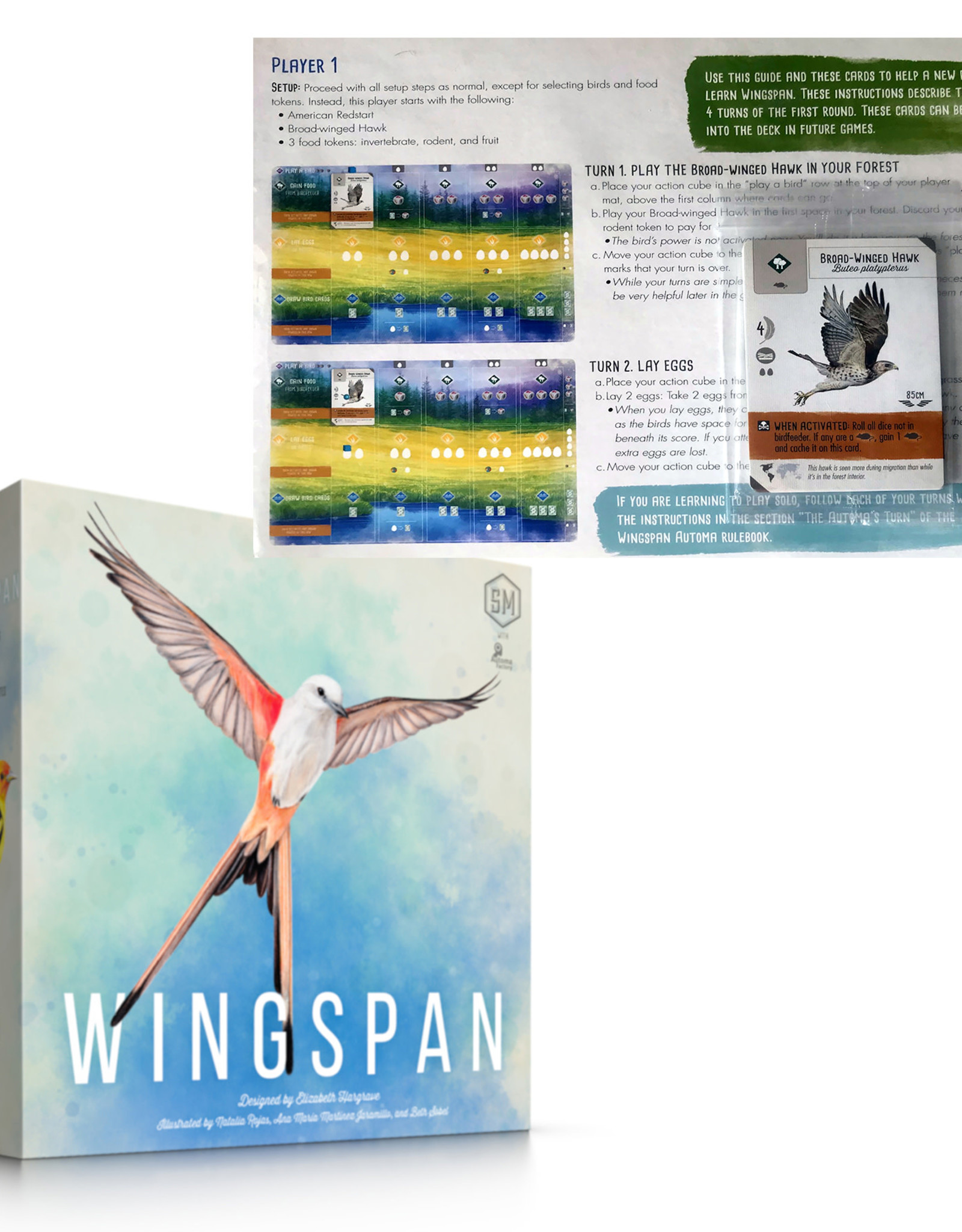 StoneMaier games Wingspan