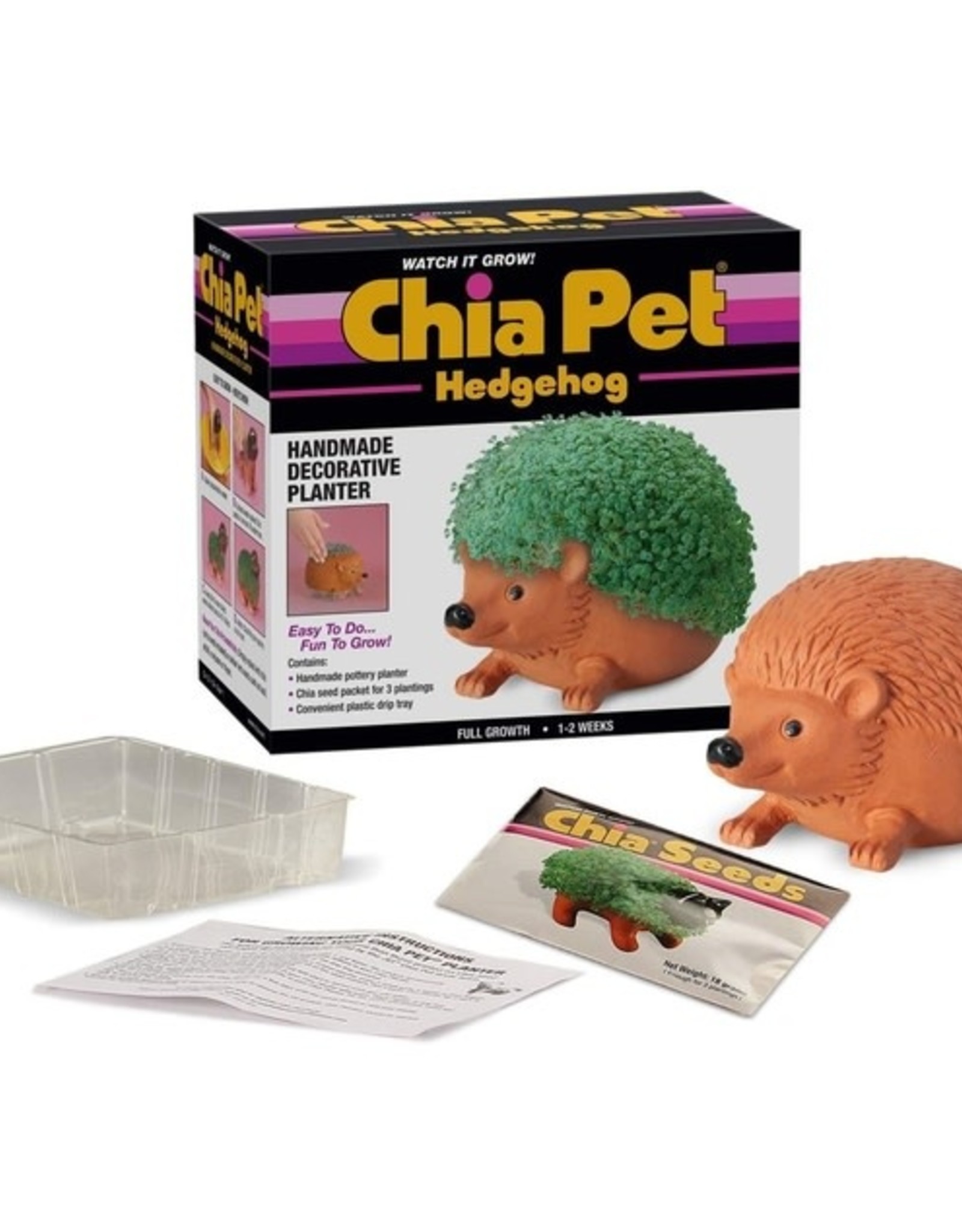 Chia Pet Chia Hedgehog