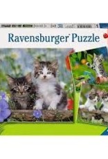 Ravensburger Cuddly Kittens 3 x 49pc RAV08046