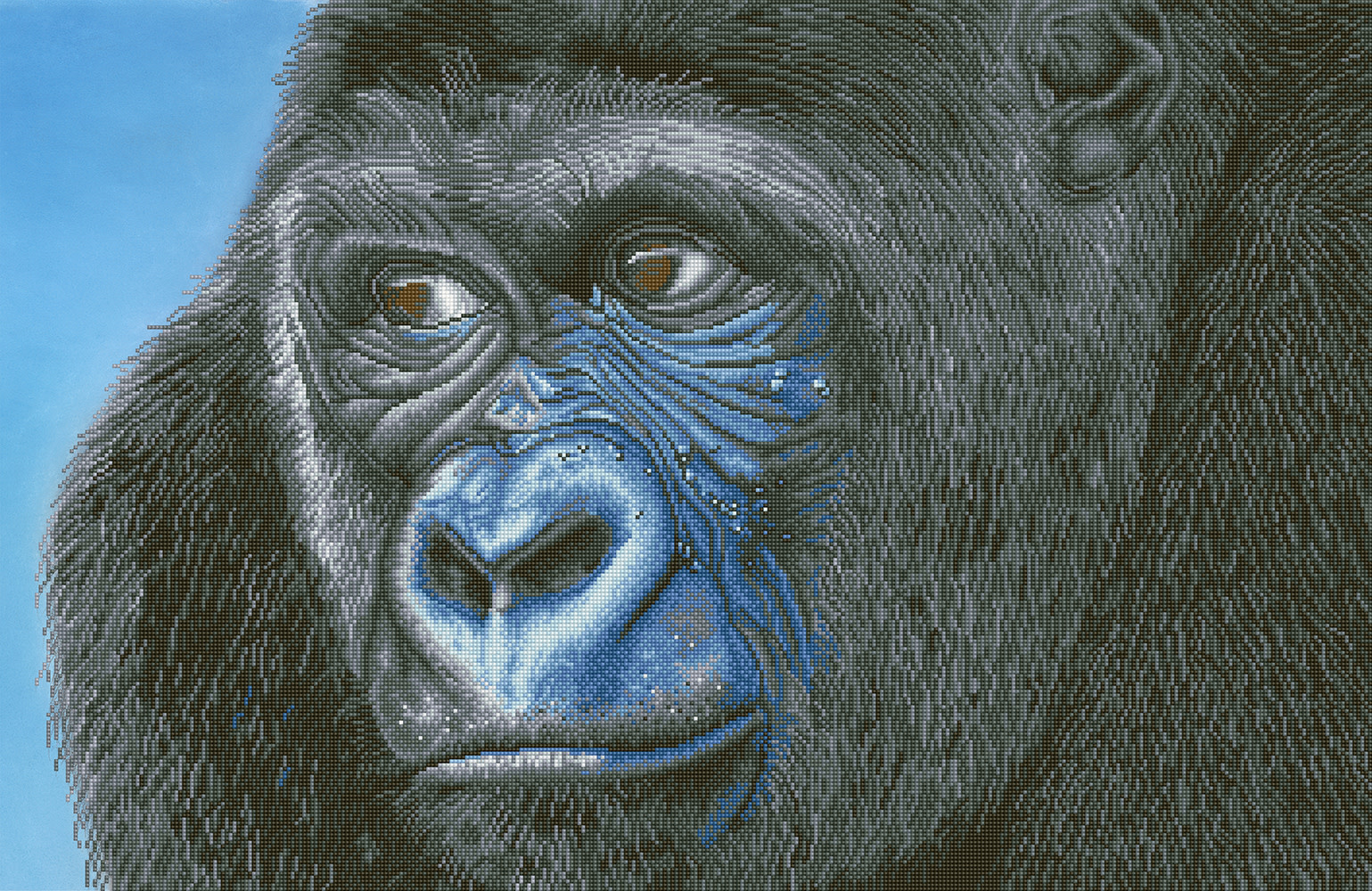 洋楽 THE IDEALS THE GORILLA MO GORILLA 洋楽 THE IDEALS THE GORILLA MO GORILLA The Ideals - The