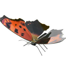 MetalEarth M.E. Eastern Comma Butterfly, 1 sh.