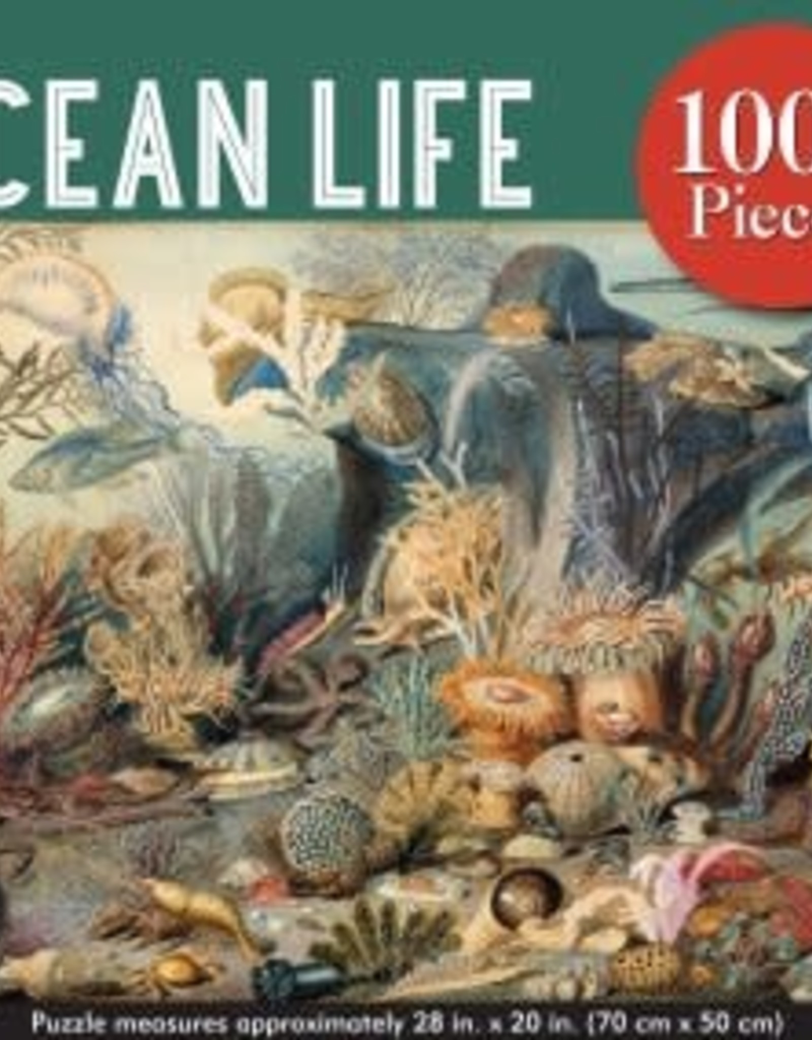 Peter Pauper Press OCEAN LIFE 1000 PIECE JIGSAW PUZZLE